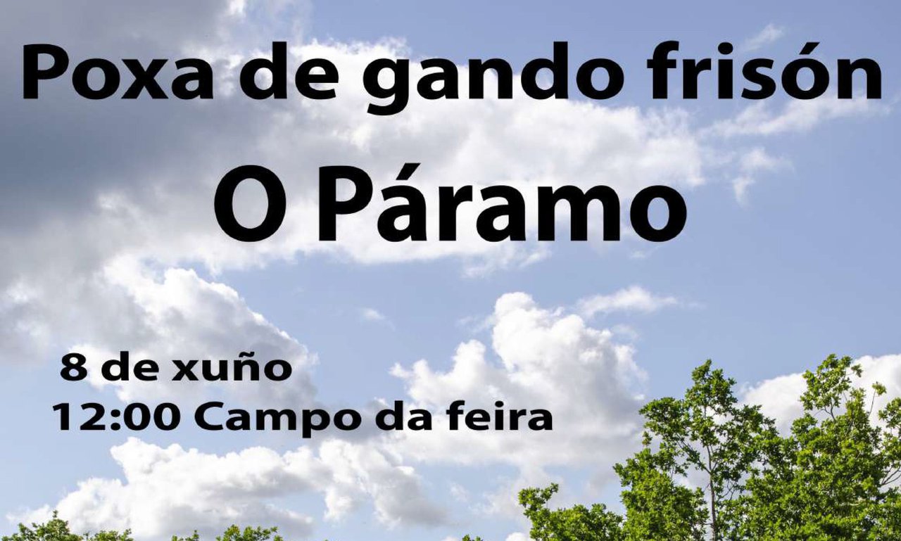 Ya disponible el libro de la subasta de O Páramo que tendrá lugar este próximo sábado