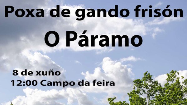 Ya disponible el libro de la subasta de O Páramo que tendrá lugar este próximo sábado