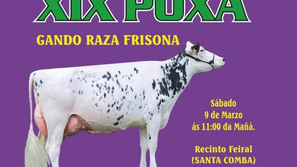 Coñecemos o catálogo da poxa de Santa Comba