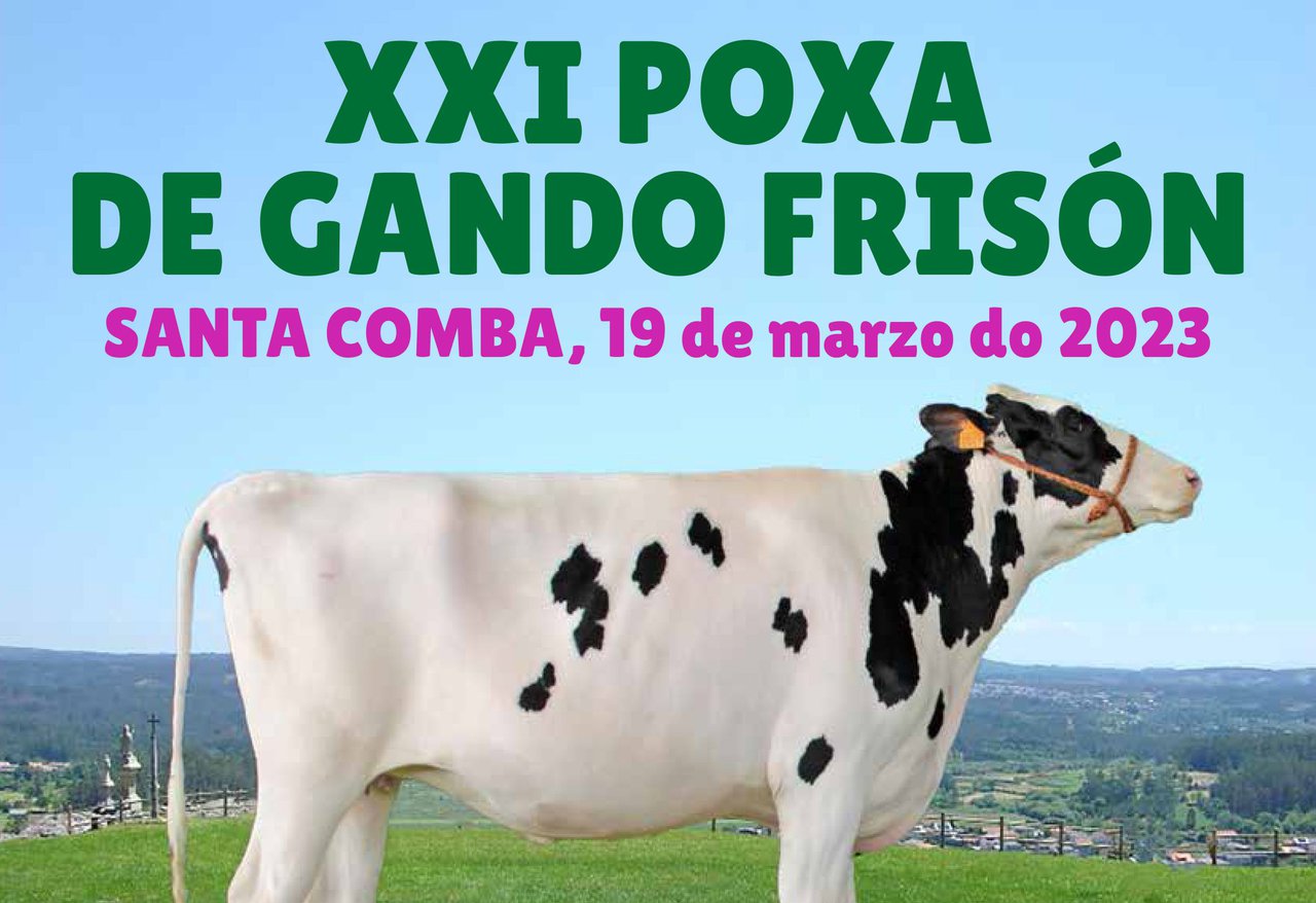 Este domingo, nova edición da poxa de Santa Comba