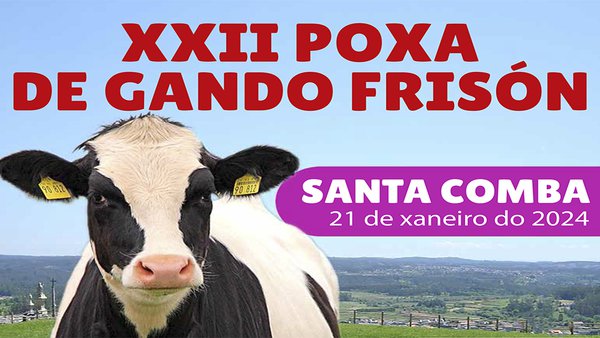 Disponibles los datos de los 28 animales que se subastarán en Santa Comba este domingo