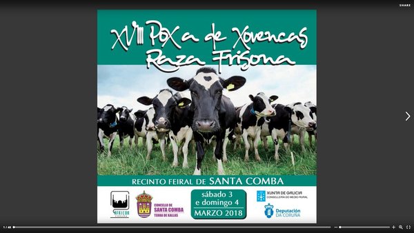 O catálogo da próxima poxa de Santa Comba, xa on-line!