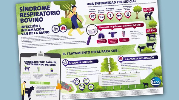 Ceva Salud Animal recorda a importancia do tratamento combinado para loitar contra a SRB
