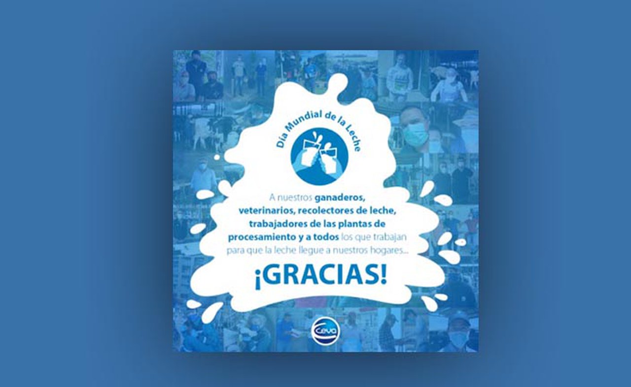 Ceva Salud Animal súmase á celebración do Día Mundial do Leite con dúas doazóns