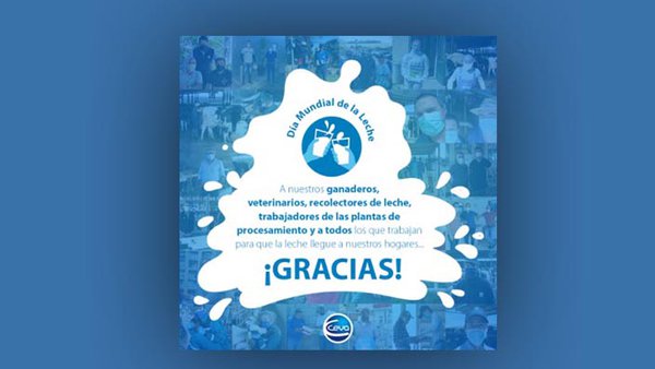 Ceva Salud Animal súmase á celebración do Día Mundial do Leite con dúas doazóns