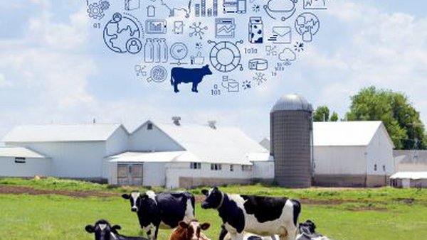 A plataforma Gando de Ceva Saúde Animal dá o salto a máis comunidades autónomas