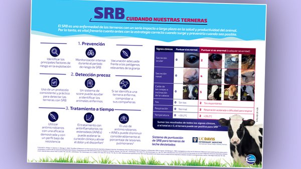 Ceva Salud Animal celebra a Semana mundial de concienciación sobre o uso de antimicrobianos achegando información sobre a SRB