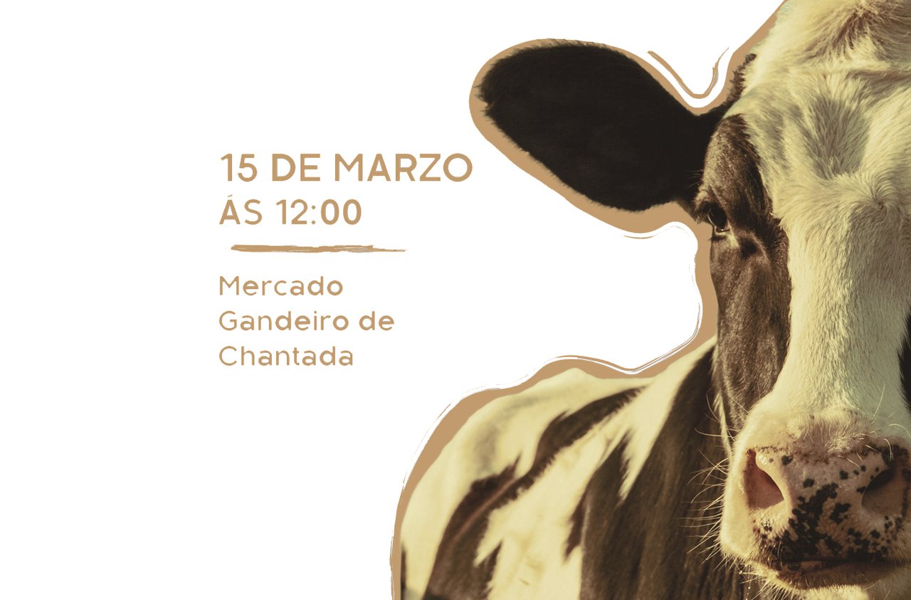 Disponible el catálogo de animales de la subasta de este fin de semana en Chantada