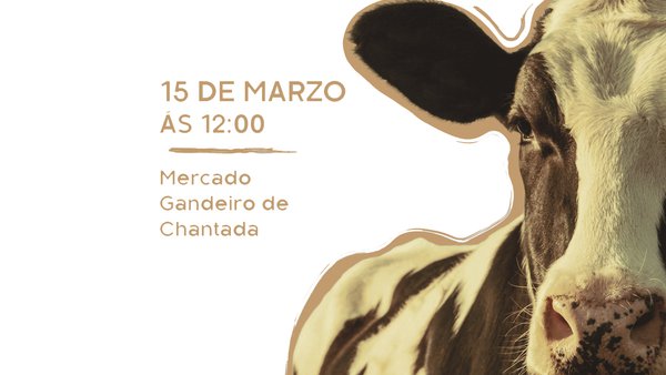 Disponible el catálogo de animales de la subasta de este fin de semana en Chantada