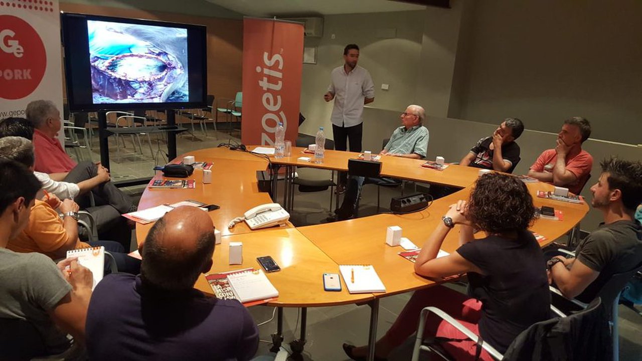 Zoetis informa al sector vacuno sobre la prevalencia real de la ERB en España