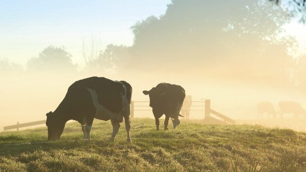 O erro dos “equivalentes de CO2”