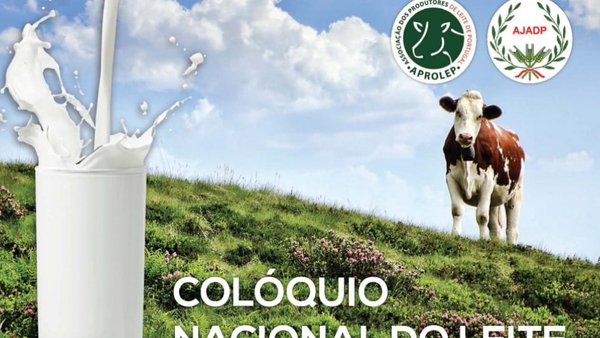 Próximo Coloquio Nacional do Leite en Vila do Conde