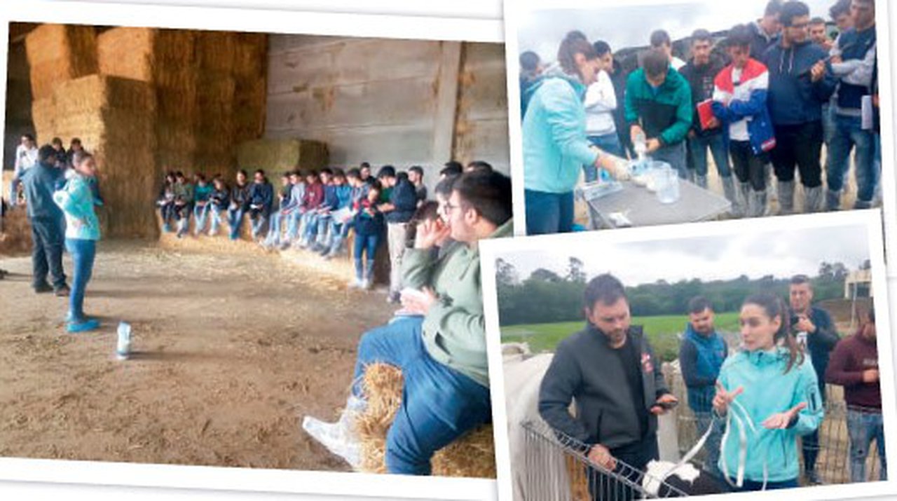 Avanzando na recría con Fonteboa