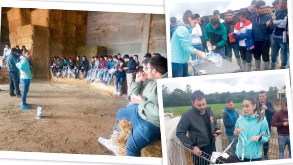 Avanzando na recría con Fonteboa