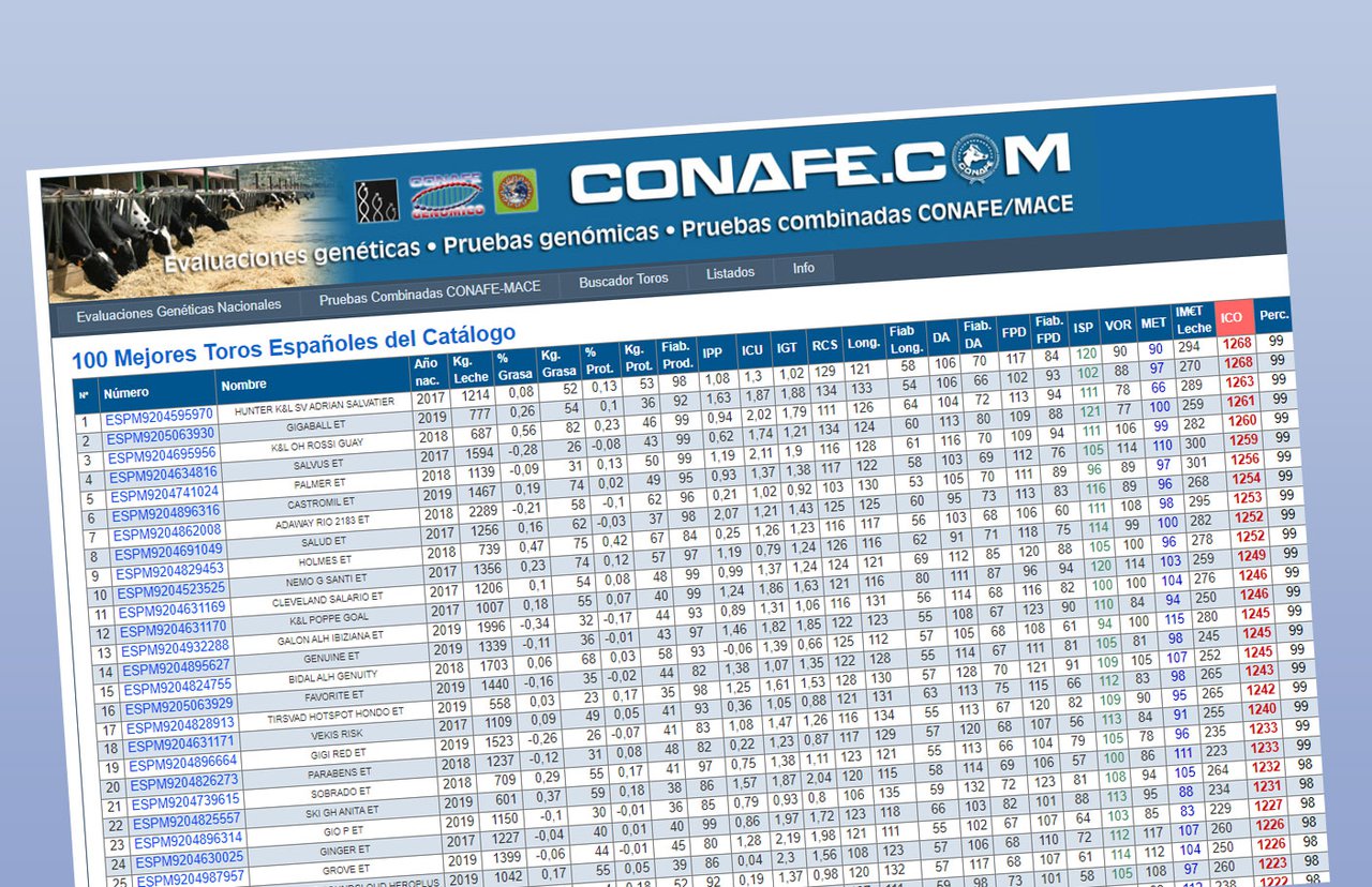 Ya está disponible el top 100 de los mejores sementales españoles por ICO