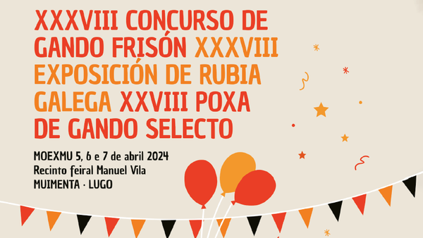 Ya está disponible en nuestra web el libro del concurso de la Moexmu 2024