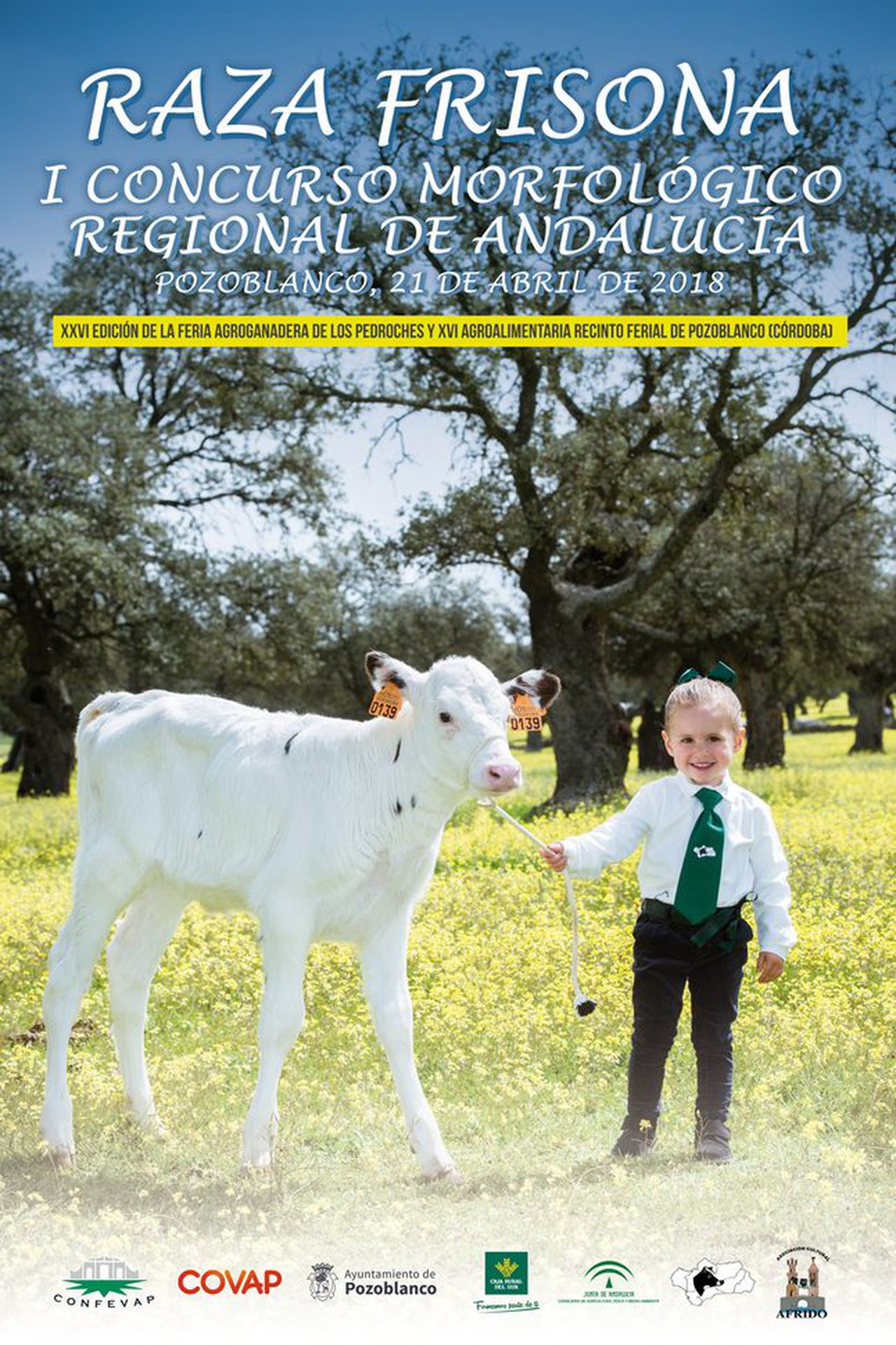 Pozoblanco acollerá o primeiro Concurso Rexional de Raza Frisona de Andalucía