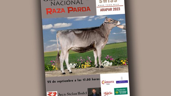 El suízo Stefan Hodel juzgará el nacional de pardas que tendrá lugar el 22 de septiembre en Gijón