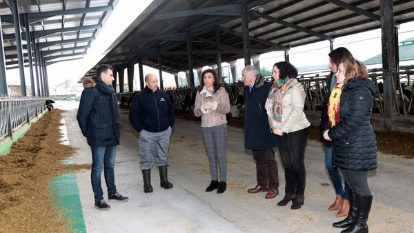 Estar en control leiteiro puntuará para as axudas de Medio Rural