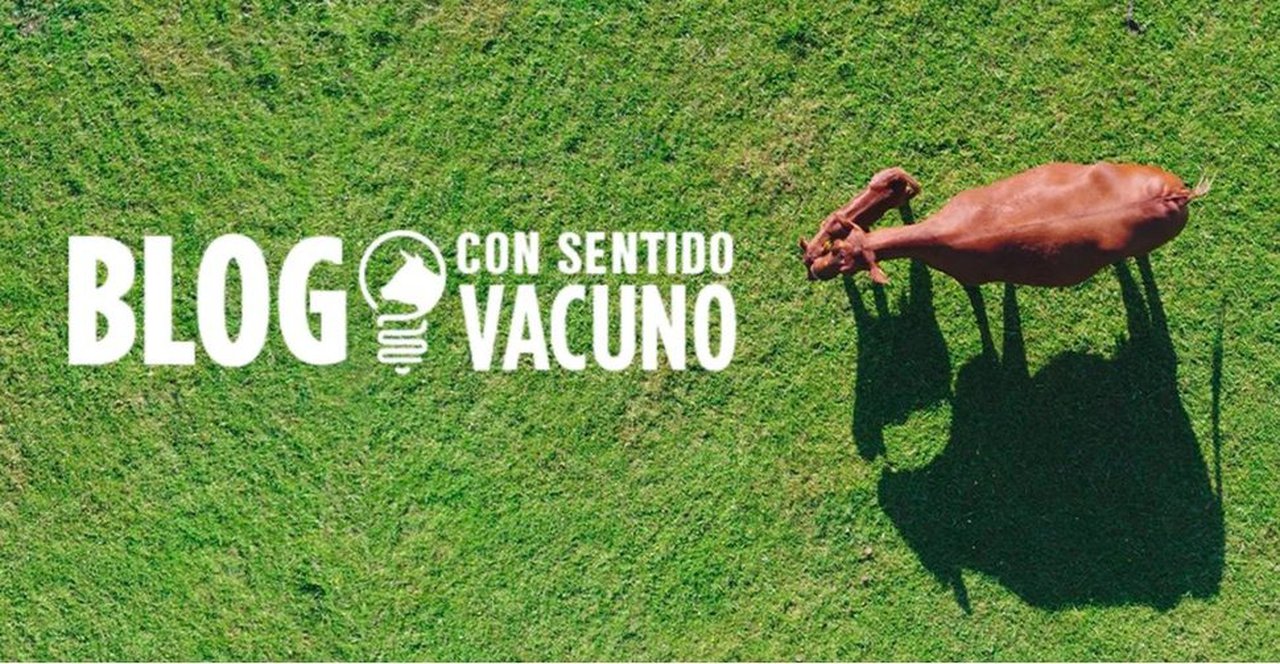 “Con Sentido Vacuno”, el nuevo blog sobre el sector de Zoetis