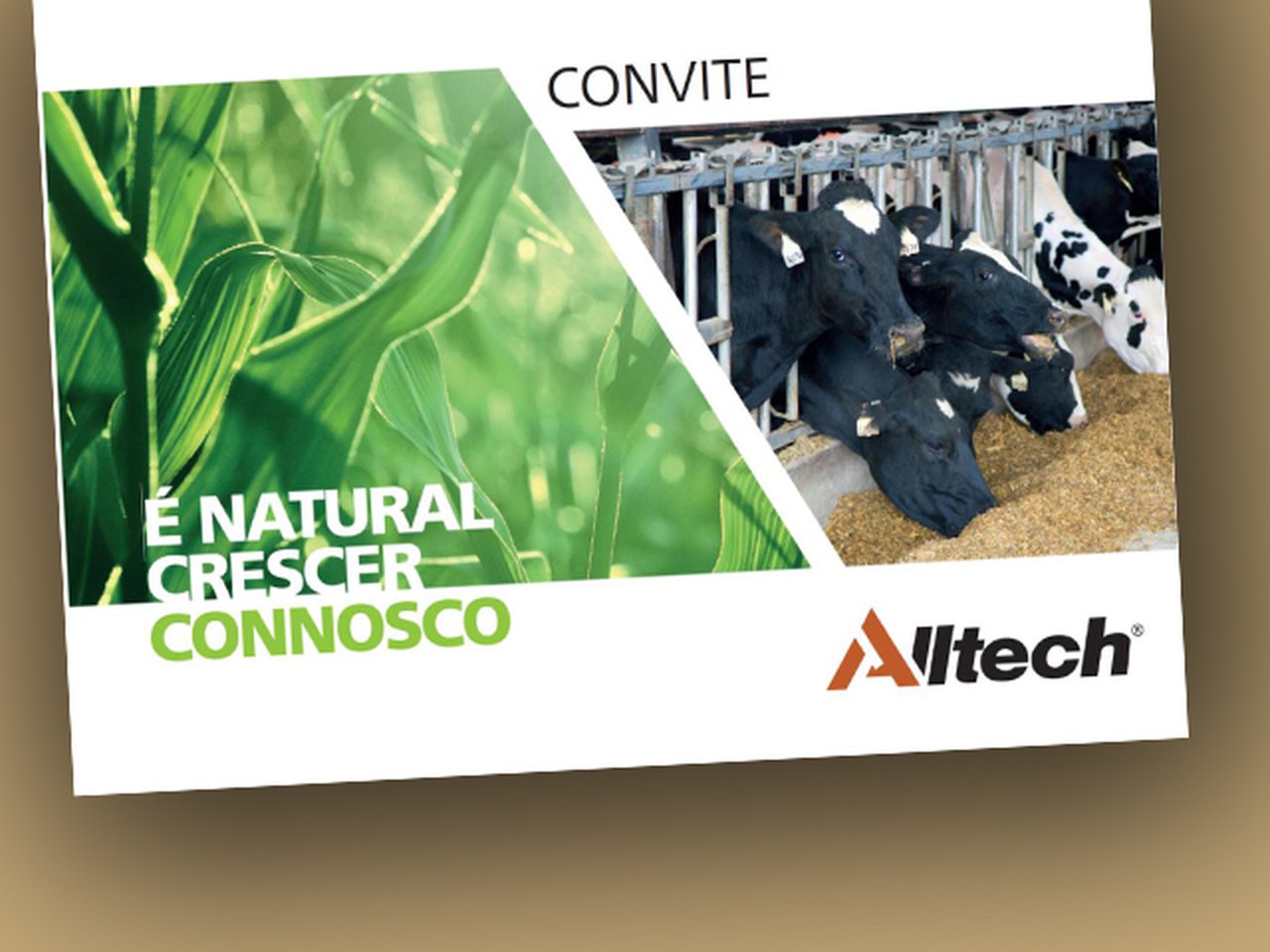 Día de portas abertas Alltech en Póvoa de Varzim
