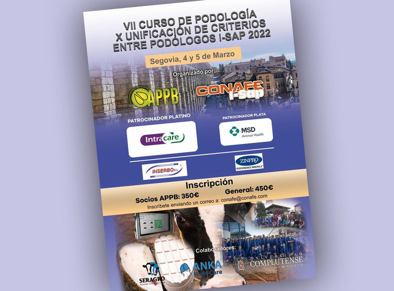 Segovia acollerá en marzo a X Unificación de criterios entre podólogos