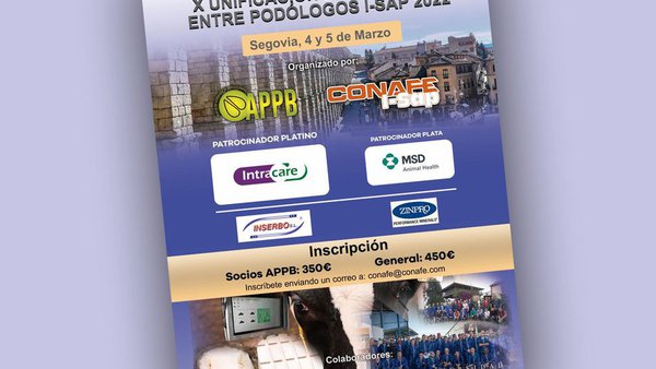 Segovia acollerá en marzo a X Unificación de criterios entre podólogos