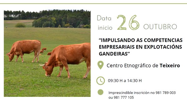 Curso gratuíto sobre competencias empresariais en explotacións gandeiras en Curtis