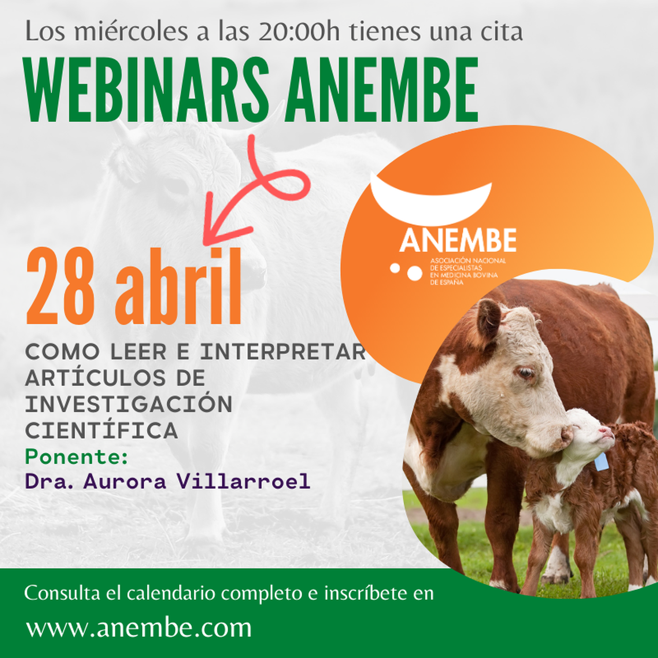 Anembe celebra un webinar sobre investigación científica o 28 de abril