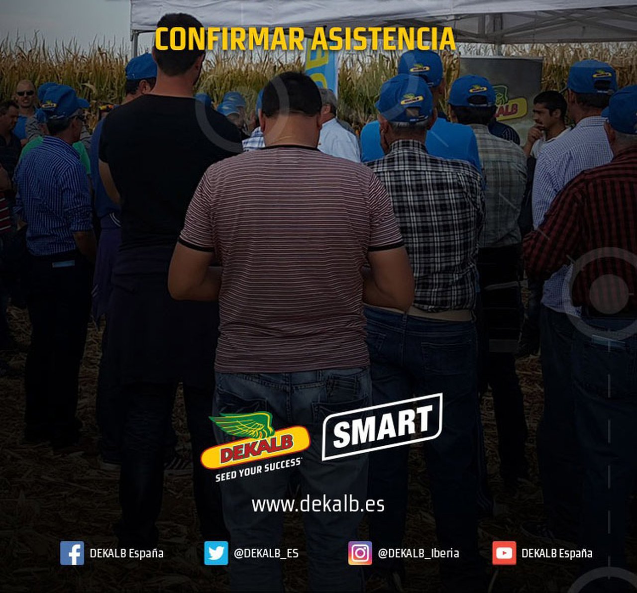 Dekalb celebra a semana que vén dúas xornadas de campo