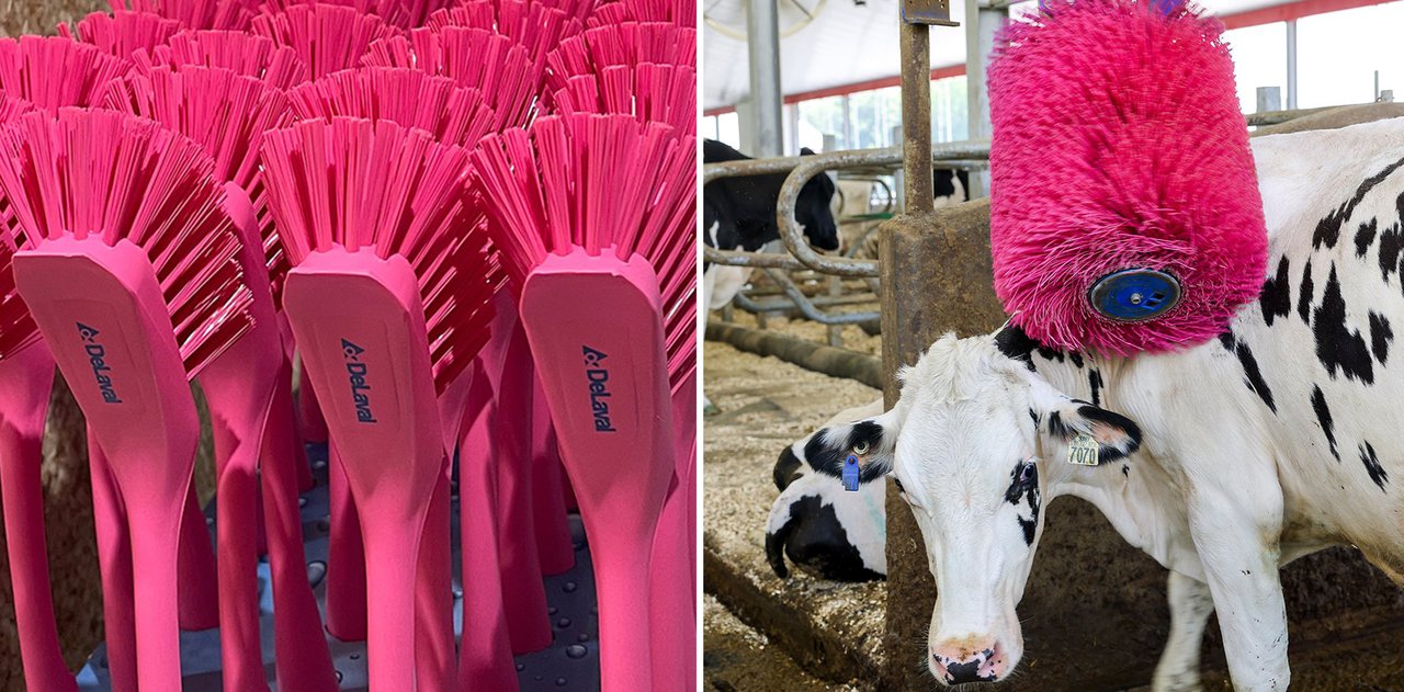 Desde DeLaval España e Portugal continúan apoiando a loita contra o cancro de mama