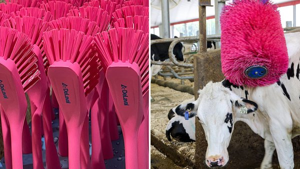 Desde DeLaval España e Portugal continúan apoiando a loita contra o cancro de mama