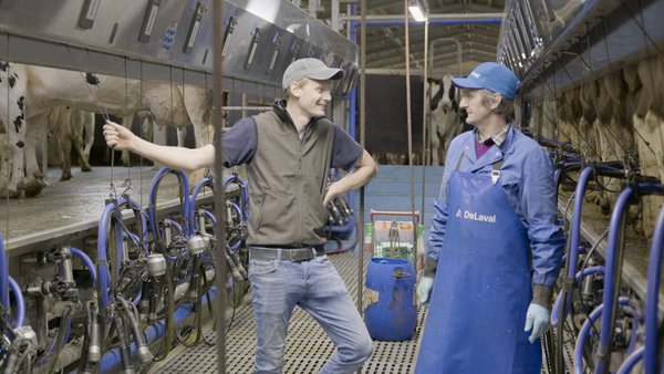 DeLaval establece novos patróns de muxido en función do fluxo natural de leite