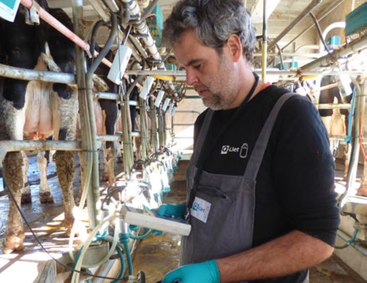 Zoetis organiza un curso on-line de secado selectivo para veterinarios