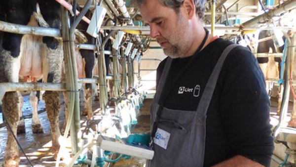 Zoetis organiza un curso on-line de secado selectivo para veterinarios