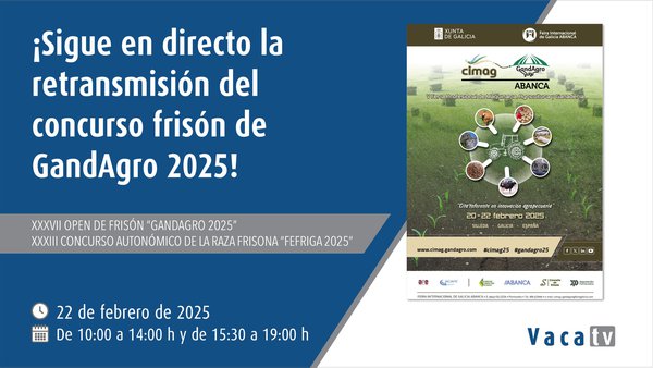 Los certámenes de la raza frisona Gandagro 2025, en directo este sábado con Vaca Pinta