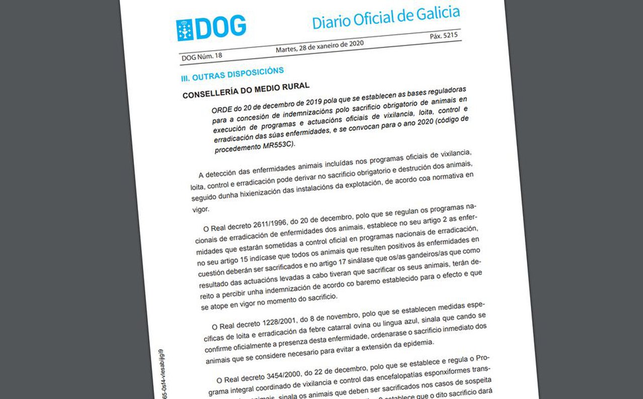Convocadas ayudas para indemnización por sacrificio obligatorio de animales en Galicia