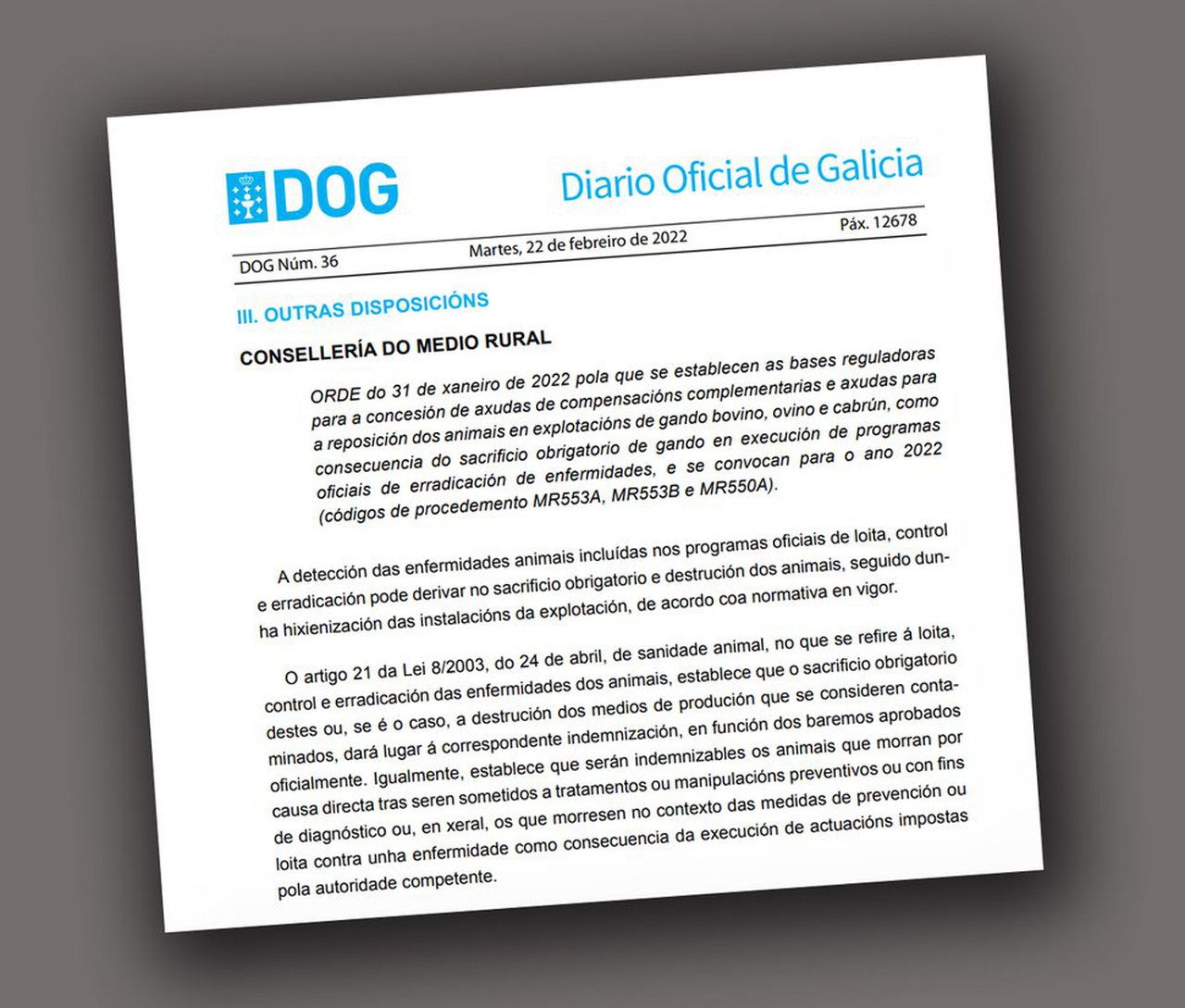 A Xunta convoca axudas para a reposición de animais polo sacrificio obrigatorio de gando