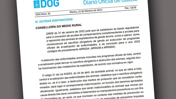 A Xunta convoca axudas para a reposición de animais polo sacrificio obrigatorio de gando