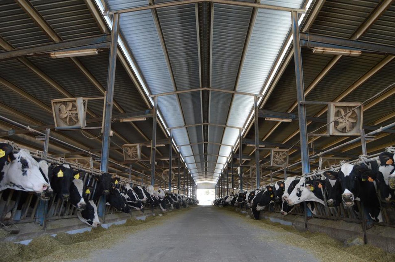 Nuevas ayudas para la creación y desarrollo de explotaciones y la incorporación de jóvenes al agro