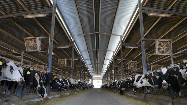 Nuevas ayudas para la creación y desarrollo de explotaciones y la incorporación de jóvenes al agro