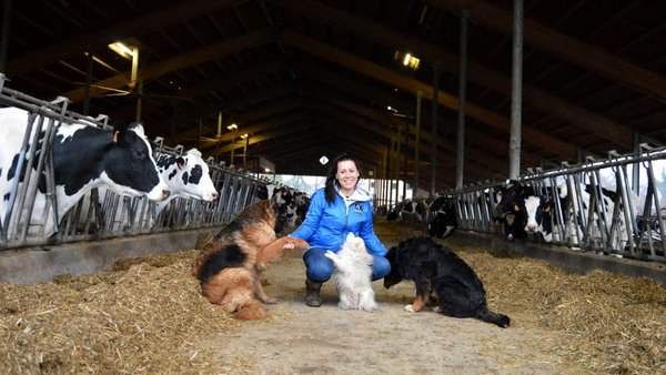 Manexo 'made in' Italia