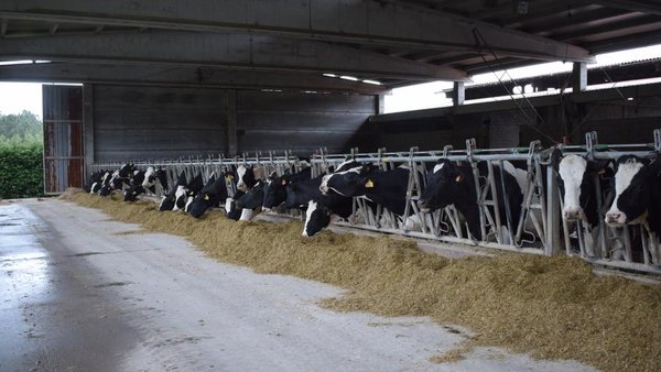 Ampliado el plazo para presentar la licencia de obra en las ayudas para planes de mejora, incorporación de jóvenes y pequeñas explotaciones