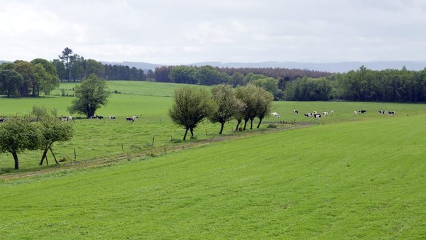 El plazo de ayudas de la PAC, abierto hasta el 30 de abril