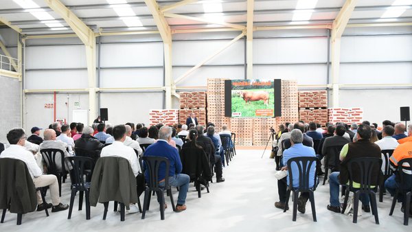 Inaugurada en Silleda la nueva fábrica de Nudesa