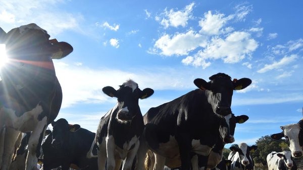 Nove comunidades amplían o prazo de solicitude da PAC