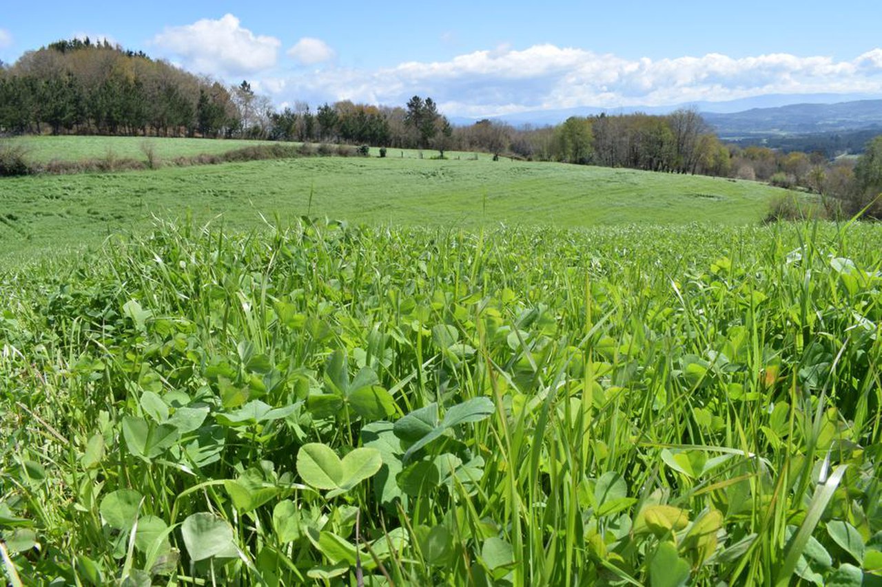 A produción agraria asegurada aumenta un 19,2 % en 2020