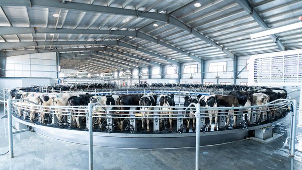 DeLaval lanza a rotativa E500, o seu modelo máis revolucionario