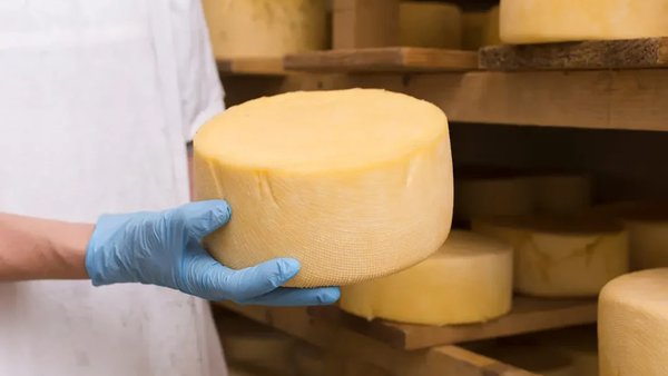 Eilza promove dous certificados de profesionalidade para a elaboración de produtos lácteos