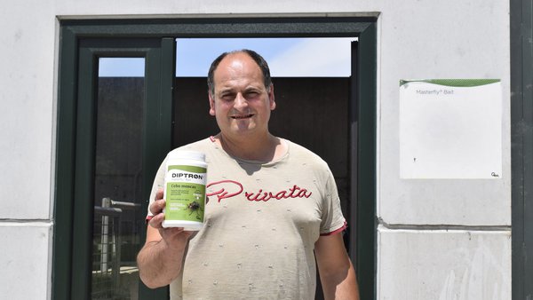 Masterfly® Bait, control eficaz de moscas en granjas bovinas